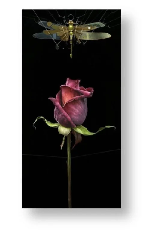 Tim Cantor — Animazing Gallery